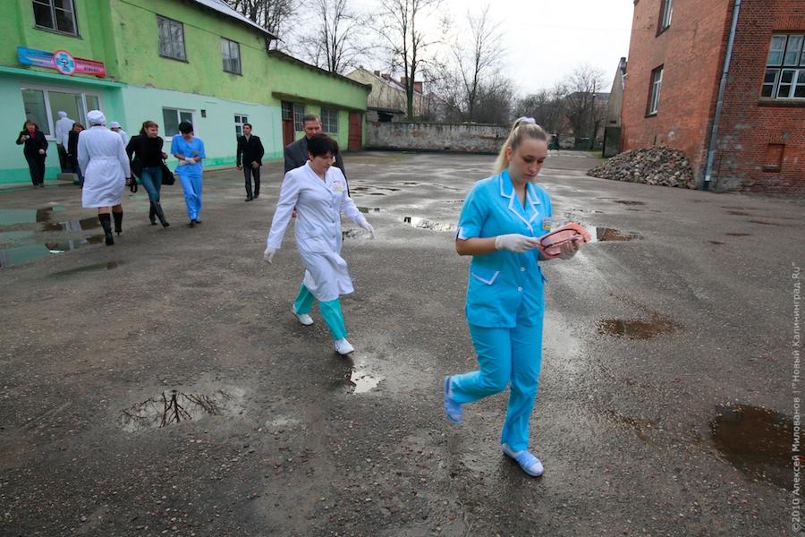 "Сделать хотел козу": фоторепортаж "Нового Калининграда.Ru"